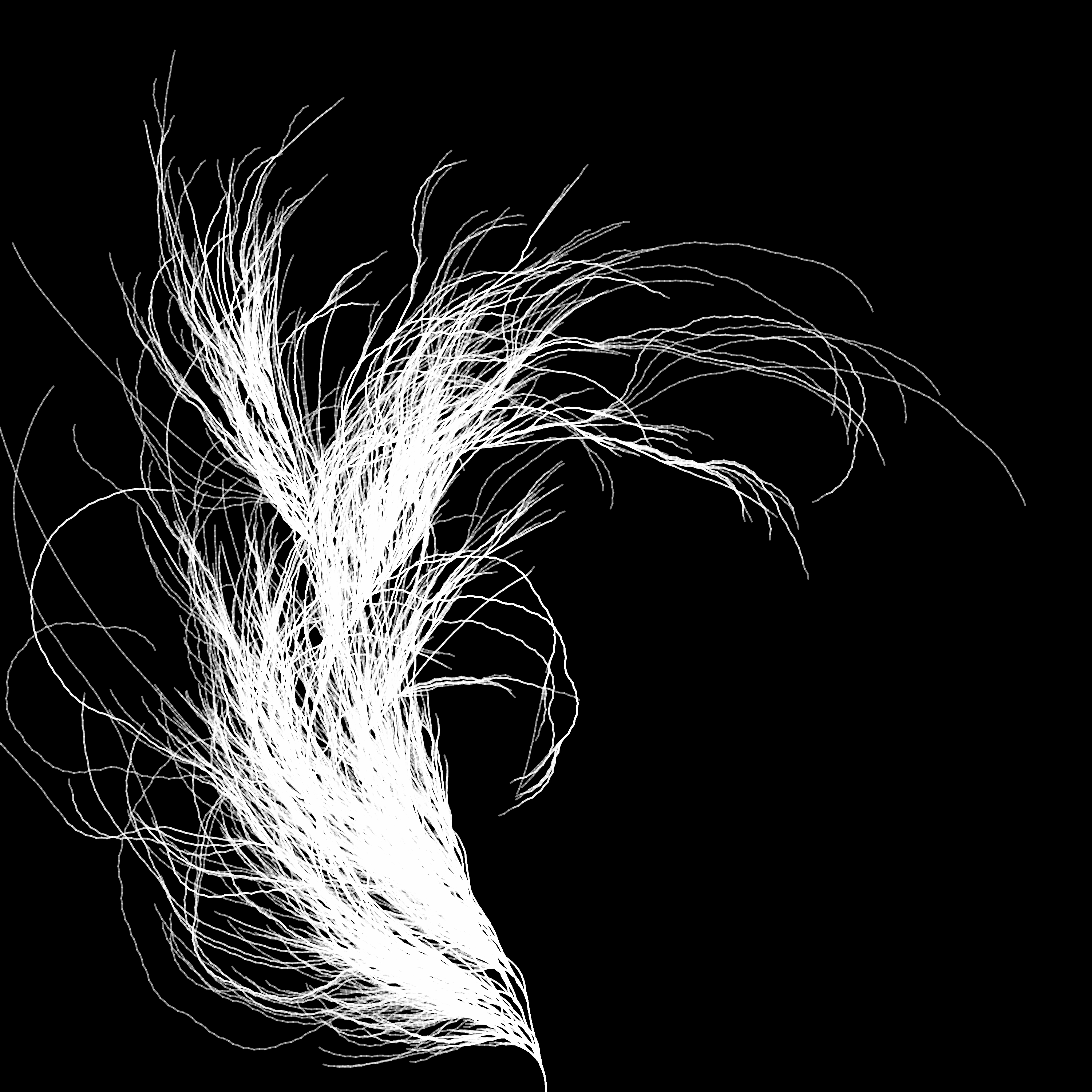 coral with random angles