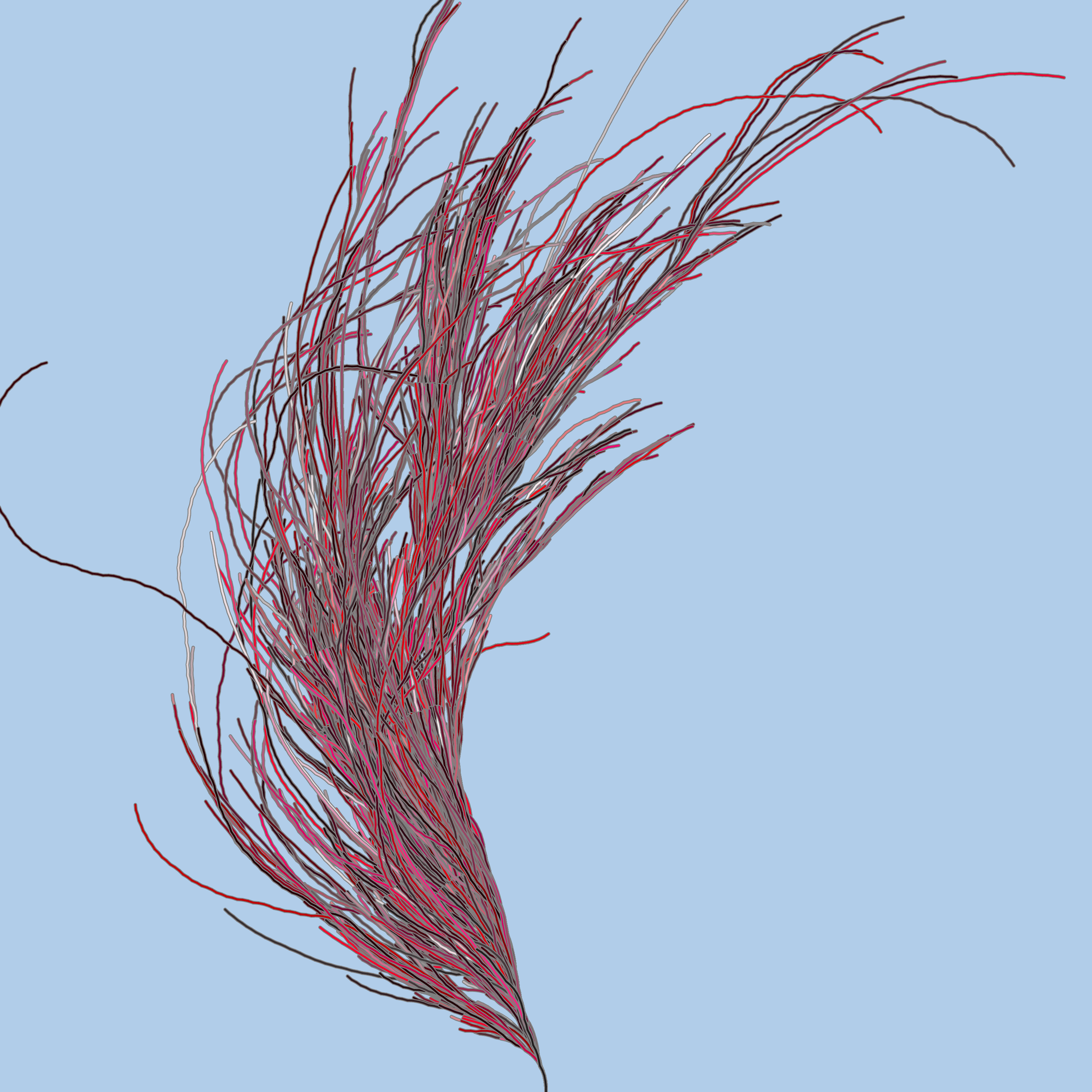 reds with random angles